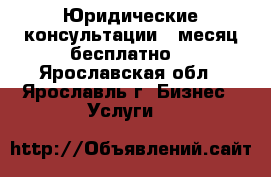 Юридические консультации 1 месяц бесплатно. - Ярославская обл., Ярославль г. Бизнес » Услуги   